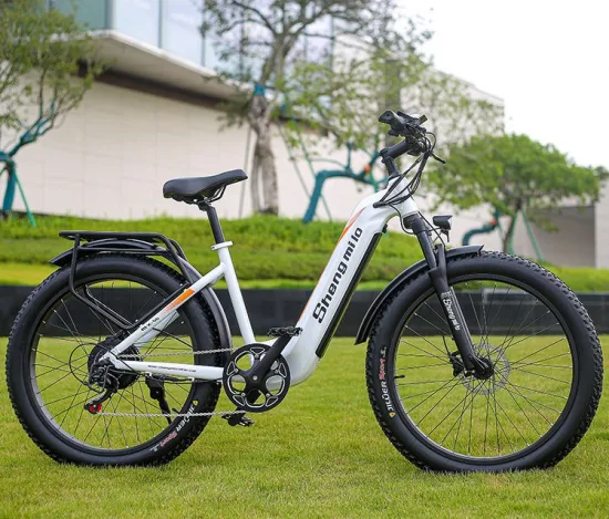 Fat Tire Electric Bike 1000W Sale: What You Need to Know