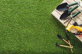 Gretna Nebraska Lawn Seeding Services: Your Guide to a Lush and Healthy Lawn