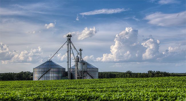 Exploring the History and Significance of Patgeland Farm Plantation Marsteller